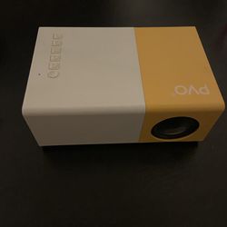 Projector with screen