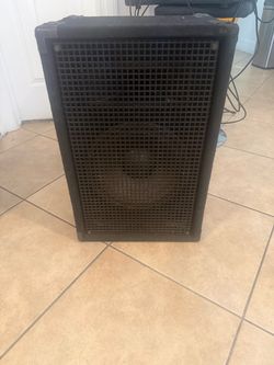 Professional baflle with speaker of 12 with tuither