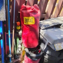 Everlast Punching Bag 