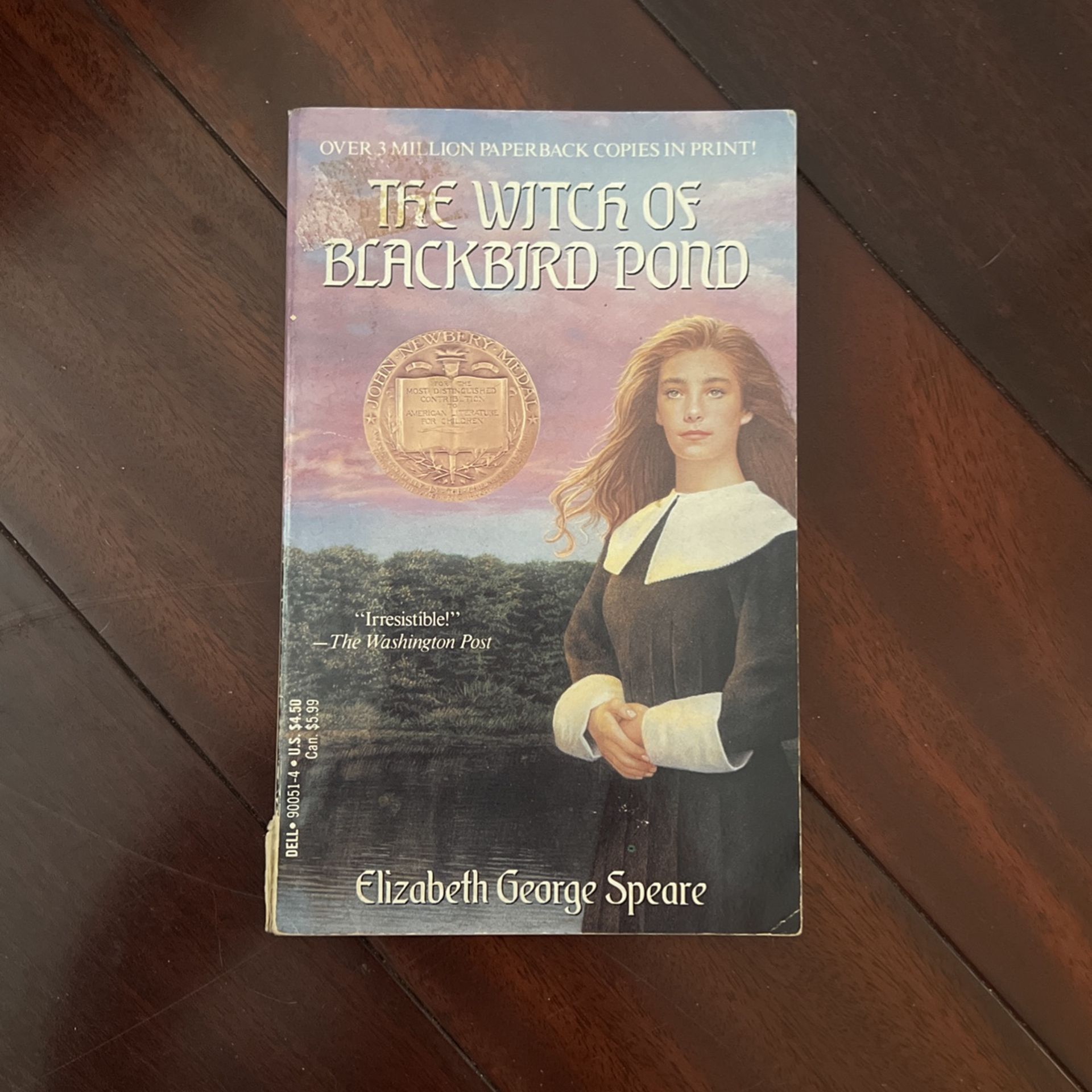 The Witch Of Blackbird Pond