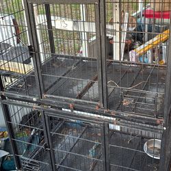 Outside Cage For Birds Rabbit Reptiles Etc,