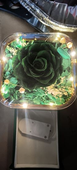 Dark Green Eternal rose gift