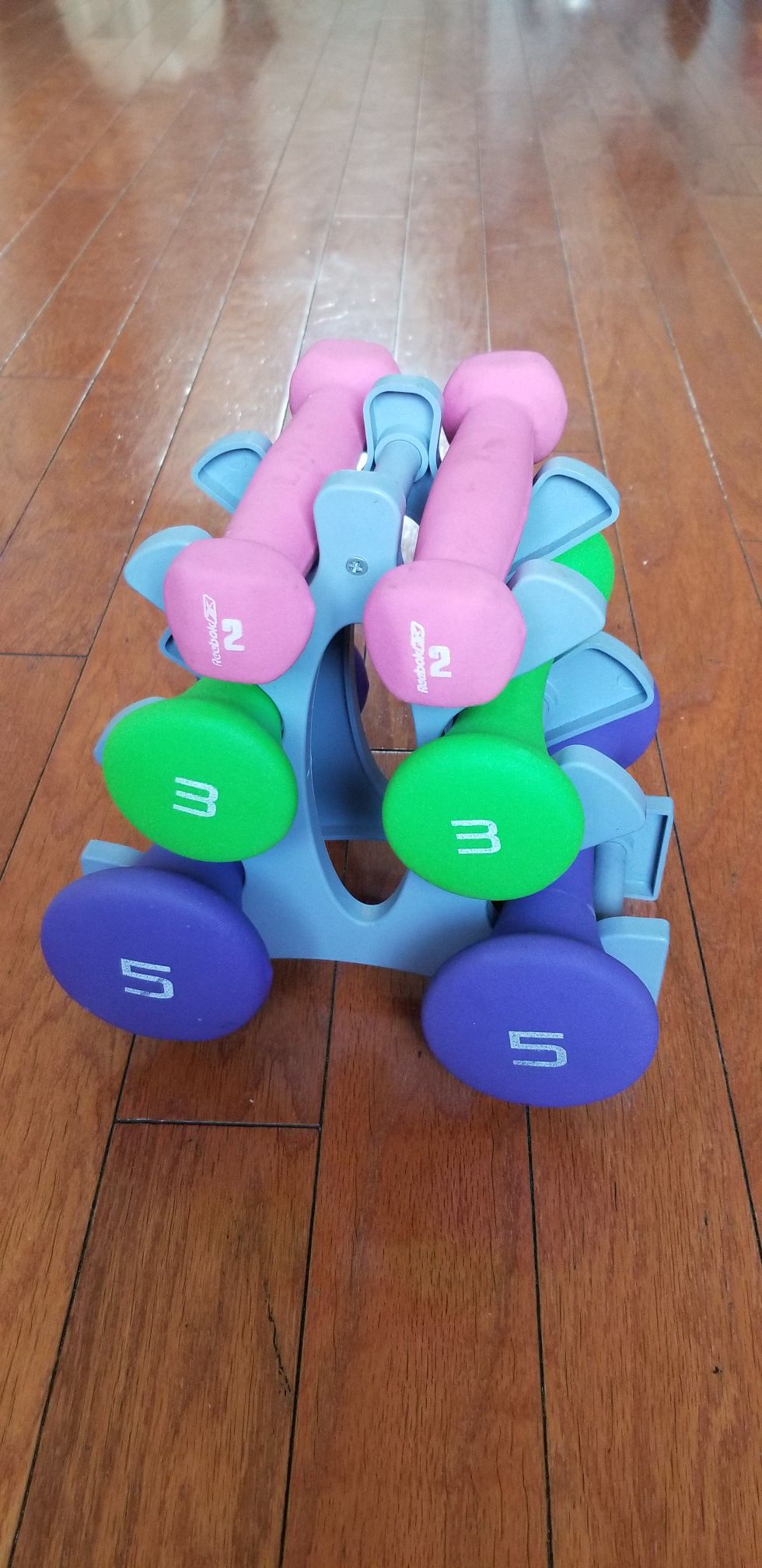 Dumbbell Set with Rack (2lb, 3lb, 5lb Weights)
