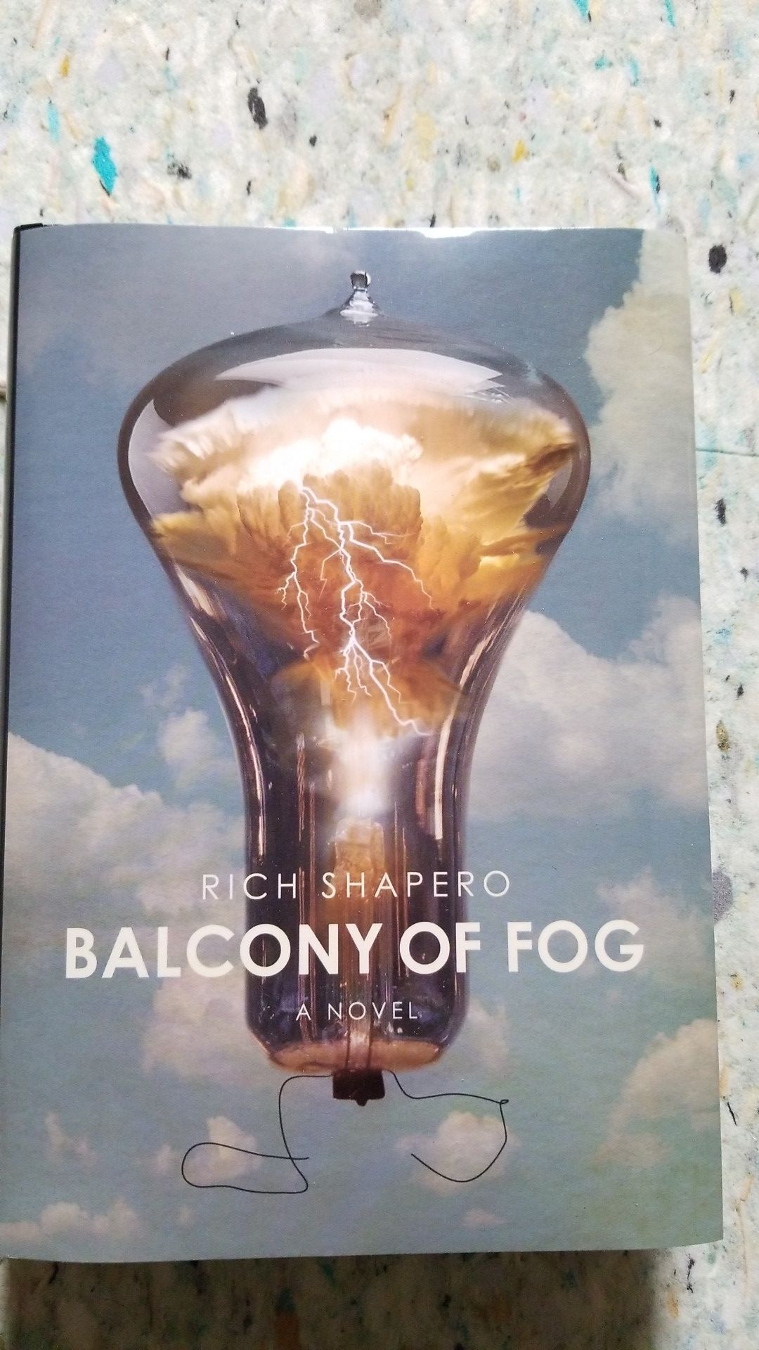 Rich Shapero Novel - Balcony of FOG