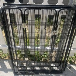 Dog Fencing 