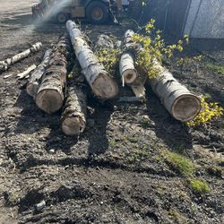 Cottonwood Logs