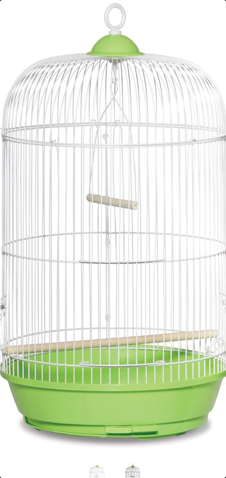 Bird Cage 