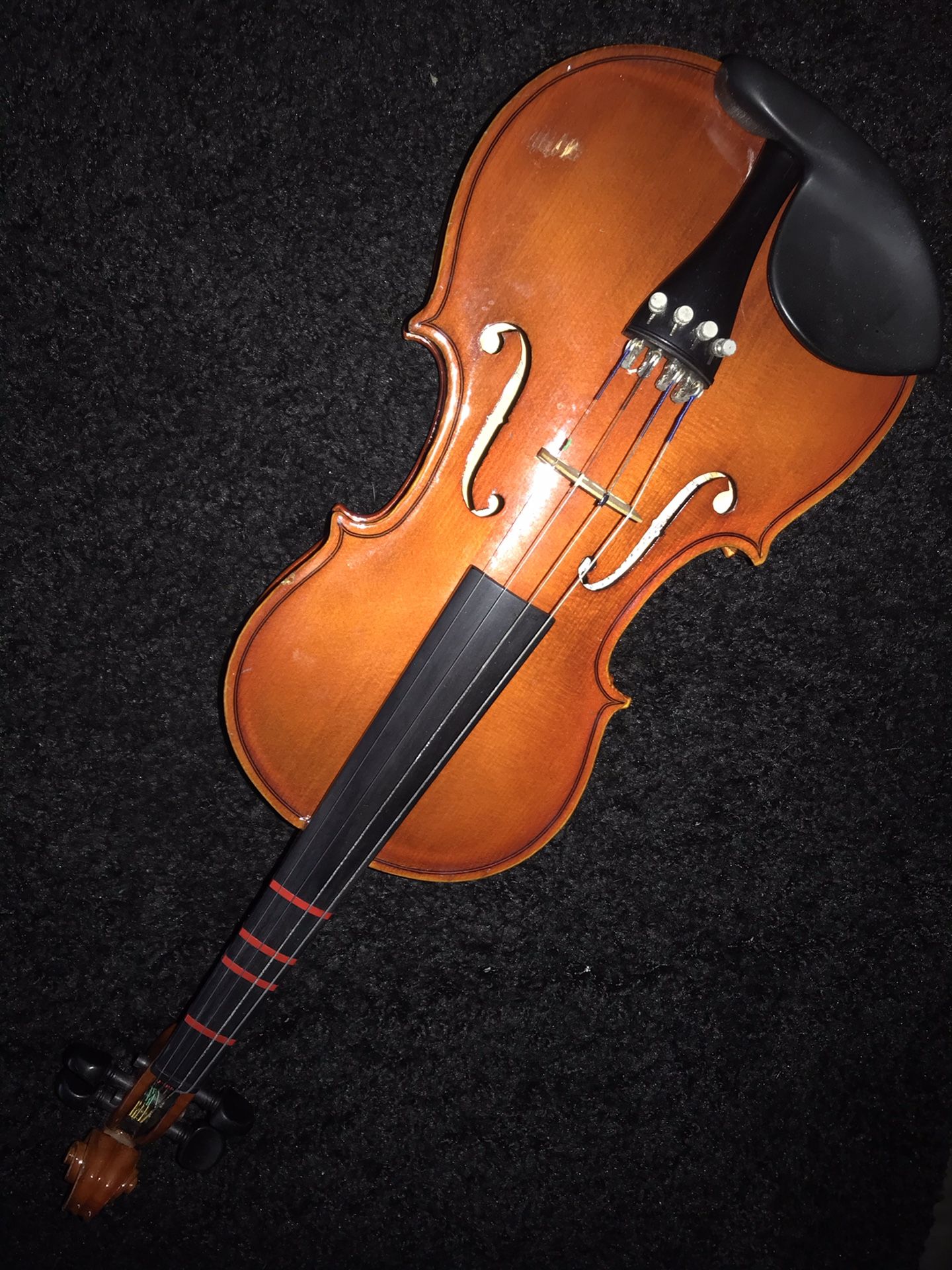 Student Violin