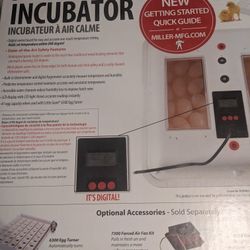 Incubator For Chicks
