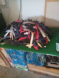 Hundreds  Of different  Longitud  