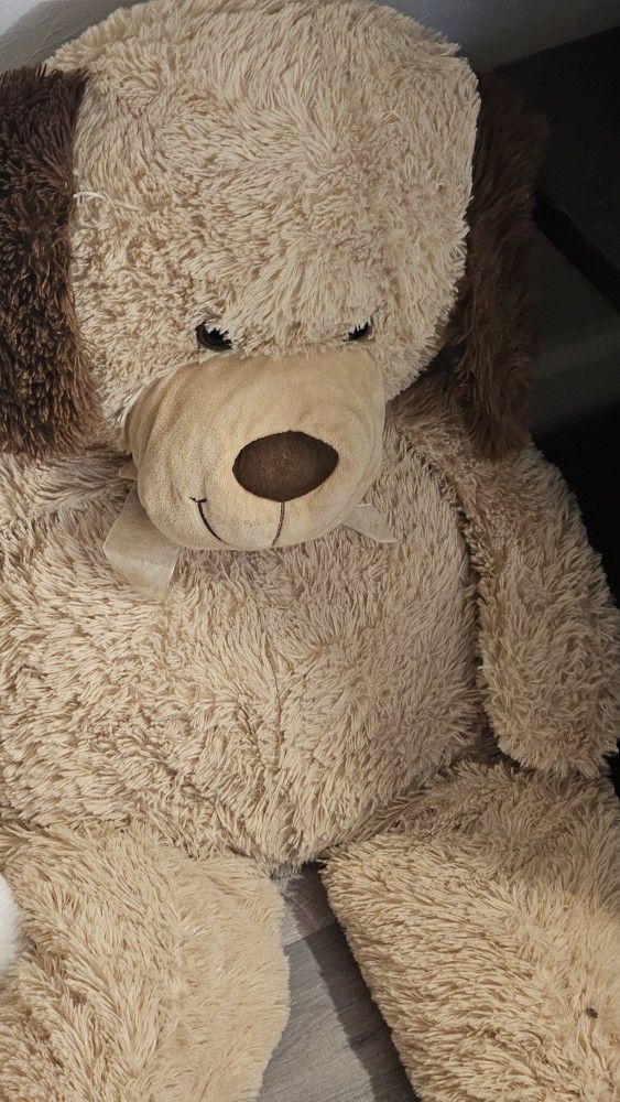 Teddy Bear Bundle 