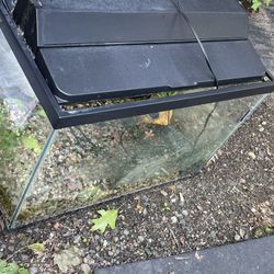 25 Gallon Fish Tank With Nice Stand ! Everything Properly cleaned
