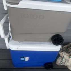 Coolers 