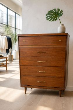 Mid-Century Modern Walnut Tall Dresser