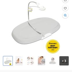 Skip Hop Changing Baby Pad 