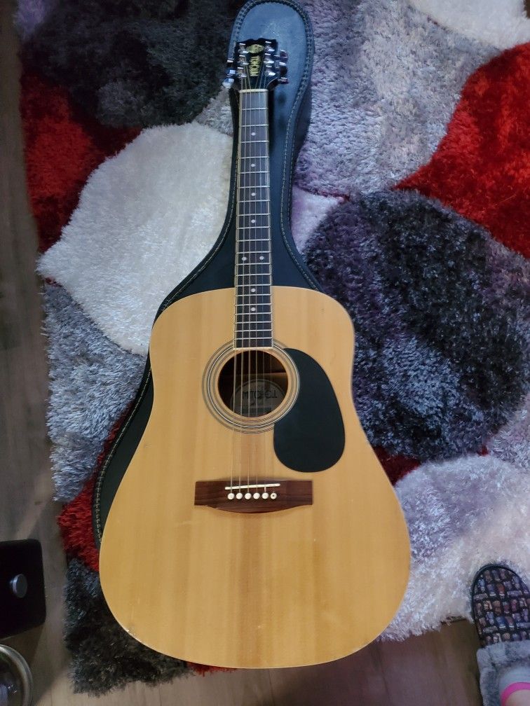 Guitar, Mitchel MD100