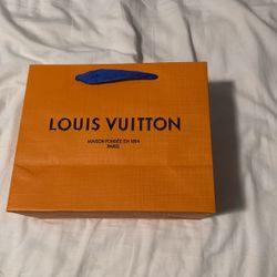 Louis Vuitton Hand Bag (new)