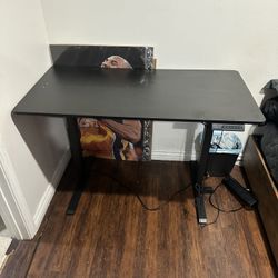 Adjustable Desk 47x24