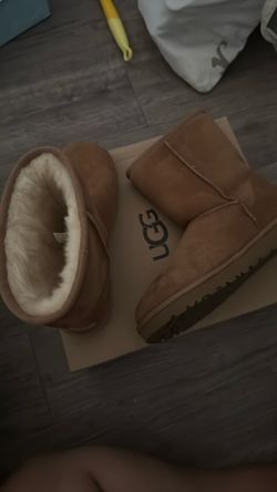Women UGG Classic Chestnut.
