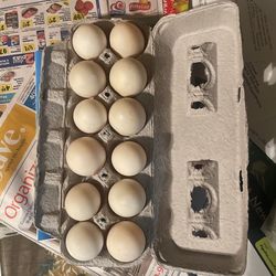 Duck Eggs