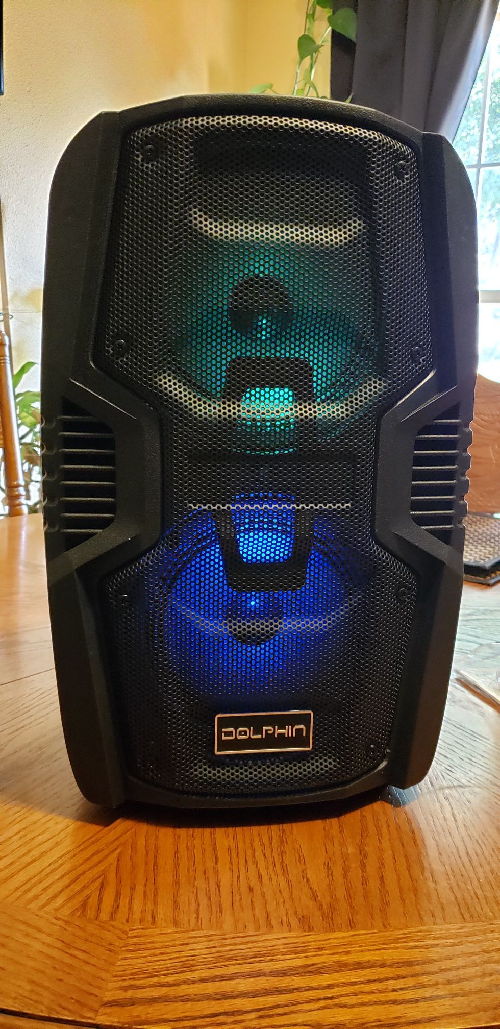 Party speaker