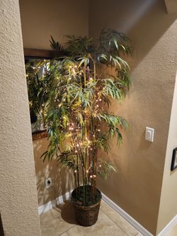 6ft tree  bamboo decor with twinkling  lights