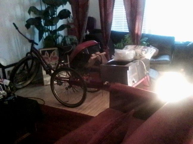 Three Wheel 🛞 Catering Bike