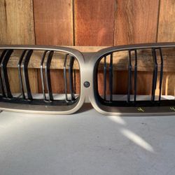 19 20 21 BMW M2 CS Carbon Fiber Kidney Grille M Performance DAMAGED OEM