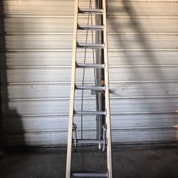 24’ Ladder 
