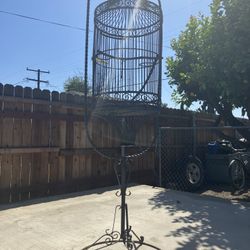 Bird Cage
