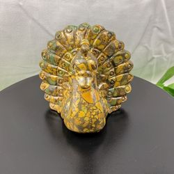 Crystal Jasper Peacock