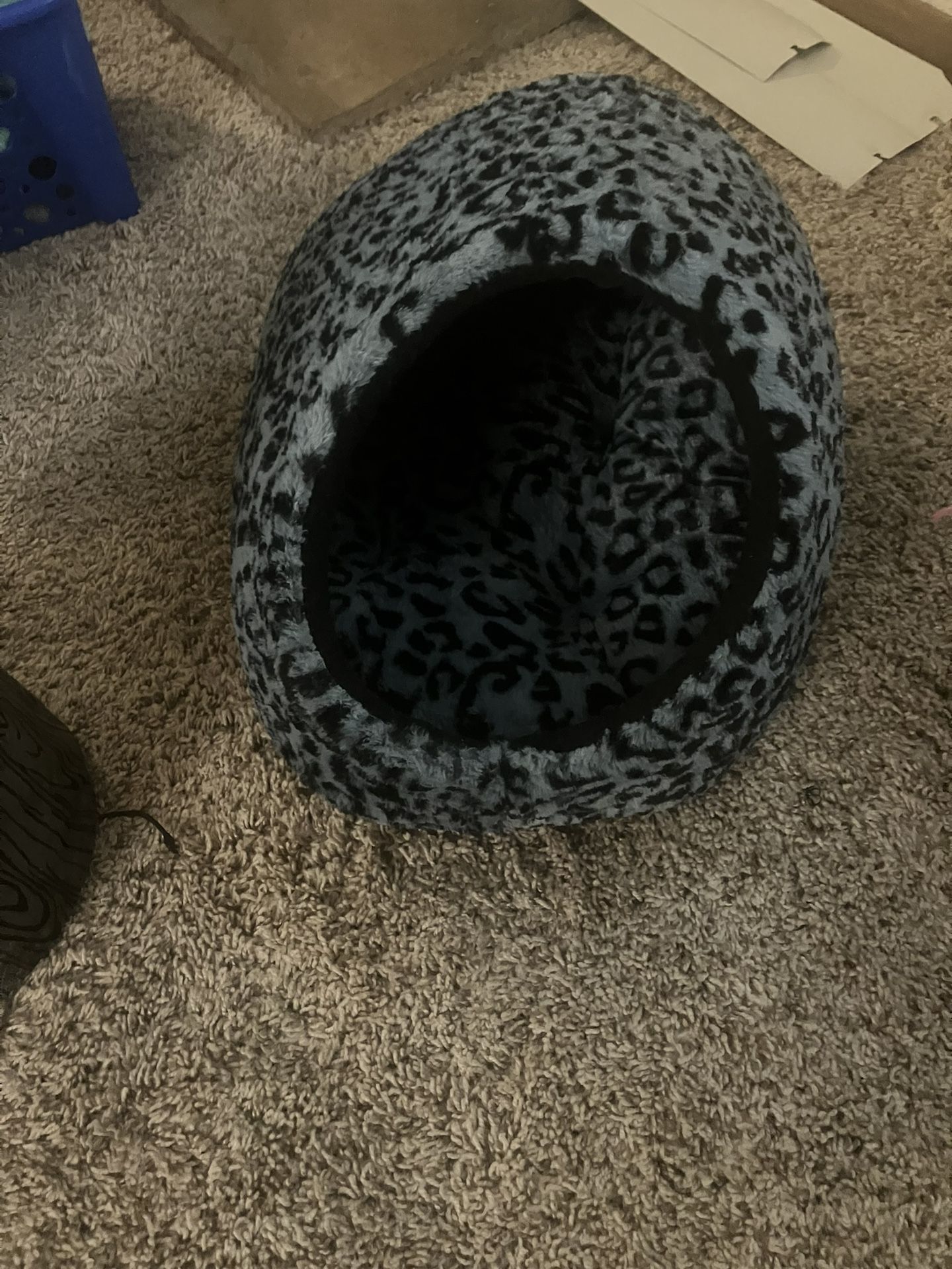 Kitty Bed