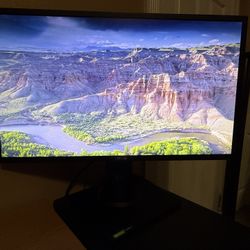 used asus 24 inch monitor 