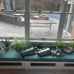 Decorative Plants And Accents 