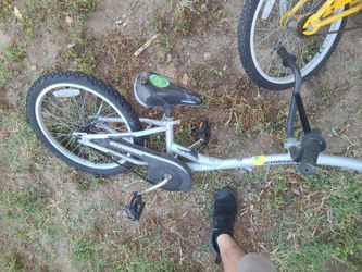 Bicke 