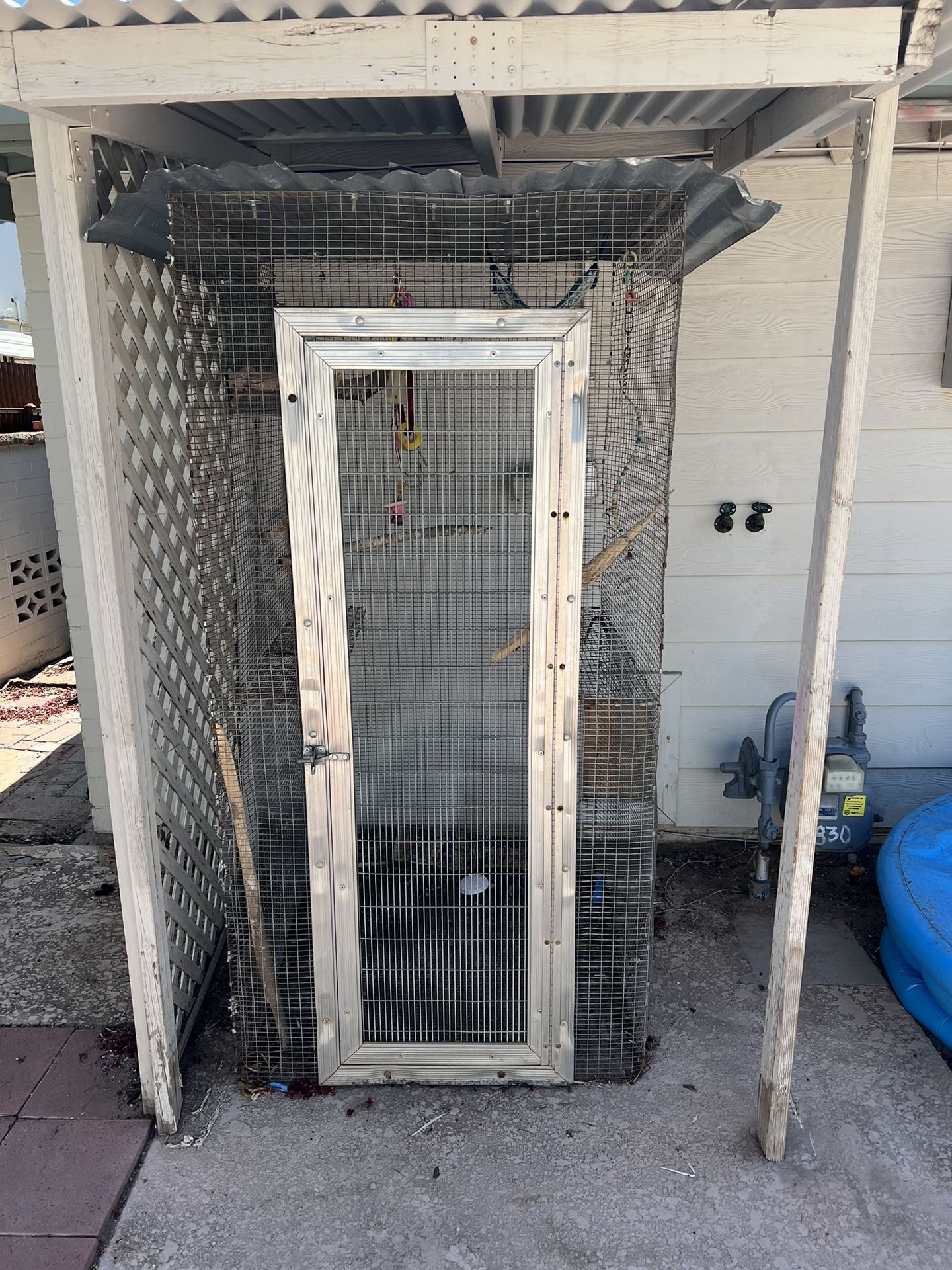 Bird Cage