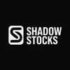 Shadow Stocks