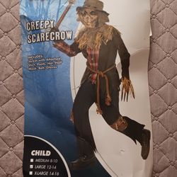 Scarecrow Costume