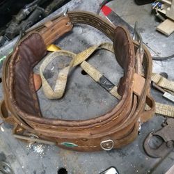 300$ Climbing Belt1