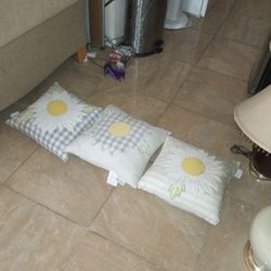 Throw Pillows ,4 for $7