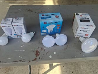 Light bulbs