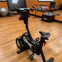 Lifetime Fitness Espresso Bike 