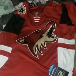 Arizona Coyotes Jersey