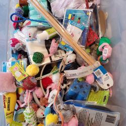 Pet Supplies Toys Clothing And More 