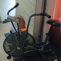 Schwinn Airdyne Upright Fan Exercise Bike