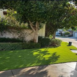 Artificial Turf 