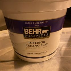 Interior Ceiling Flat