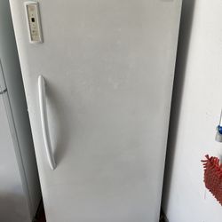 Stand Up Freezer