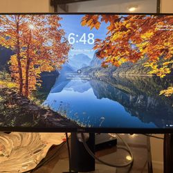 Dell P2419HC 24” Full HD IPS Monitor - Like New