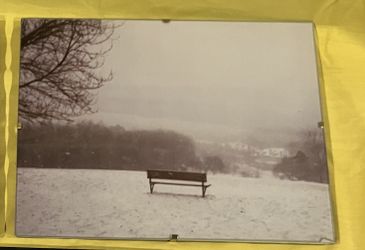 Scenic pictures of Riverview Park